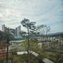 모현더힐공인중개사사무소 | 용인 모현 힐스테이트 몬테로이 3700세대 대규모 현장사진 3블록 25평 C타입 전세2억5천 융무 에어컨2대...