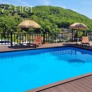 877 스테이 이미지