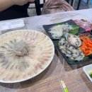12 | 속초해수욕장 횟집 청초활어회센터 후기! 12호 나룻배 이용 후기