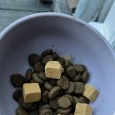 토담스펫 이미지