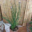 동의중학교 이미지