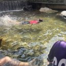 사나사(초입) 이미지