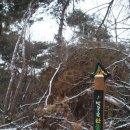 장원초교 이미지