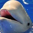 롯데월드아쿠아리움 이미지