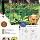 고려인삼 이미지