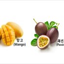 칠성패션