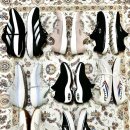 운동화 빠는 날 이미지