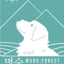 애견의숲 이미지