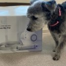 LOVE MY PET 동물병원 이미지