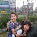 전주풍남유치원 이미지