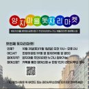 양지마켓