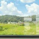 황골장미마을 이미지