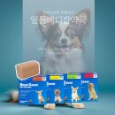 메디칼하나약국 이미지