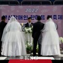 팬스타라인닷컴 이미지