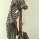 풀돌나무 이미지