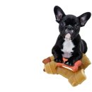 별별강아지 이미지