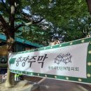 영산강식당 | 10월 광주 추억의 충장축제, 나주 영산강 축제 방문후기