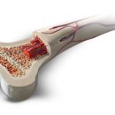 라온셀의원 이미지