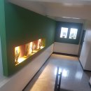 파니아토 이미지