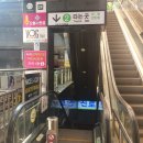 마음을 나누는 동물병원 | 마음을나누는동물병원 강아지 디스크 침 치료 후기