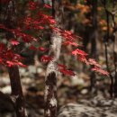 가을목장 이미지