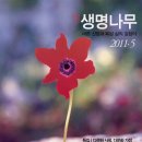 소망의 나무 이미지