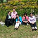 진숙목장 이미지