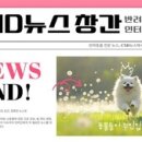 반려미디어