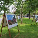 대공원입구로 이미지