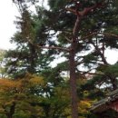 방배로 234 이미지