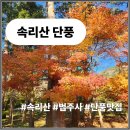 산향기의 속리여행 | 속리산 법주사 단풍 맛집까지 하루 완벽코스 3곳