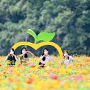 산소카폐 청송정원 (2) 이미지