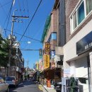 견생냥품 쌍문역점 이미지