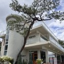 고양원당67 | [고양 카페 추천]건강한 빵과 제철 디저트가 매력적인 서울 근교 카페 ‘배다골베이커리하우스’ 후기