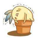 밝은김안과의원 이미지