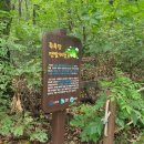 바라산자연휴양림 이미지