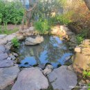 풀빛고운 이미지