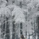 화원관광지 이미지