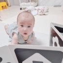동화파워세탁 | 책육아, 우리 아이 책 읽는 습관 만들어주기