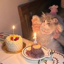 생일주간 12月