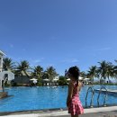 프로빅마트 | 다낭 메리어트 리조트 논누억 비치 빌라스 수영장 메인풀 후기