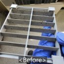 구미라지에타 이미지