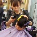 고기파마 이미지