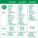 [리뷰] 지구를 위한 친환경 마켓, 🧤초록손장터🧤 후기