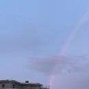 아이디안경 이미지