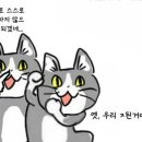 조아쓰