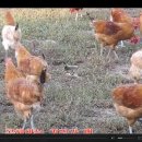 우리농장2 이미지