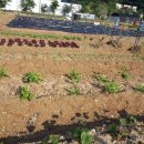 까치합동공인중개사사무소 이미지