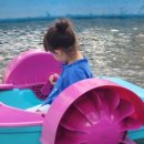 청룡카랜드 이미지