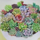 내 손으로 그리다 보태니컬 아트 이미지